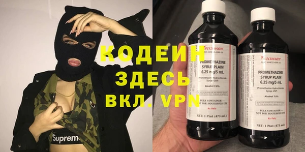 мдпв Гусь-Хрустальный