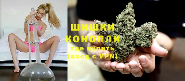 кокс Кропоткин