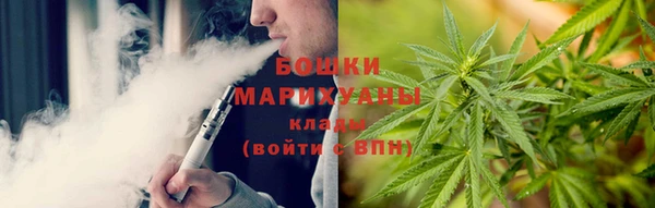 кокс Кропоткин