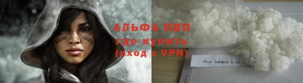 прущие грибы Новодвинск
