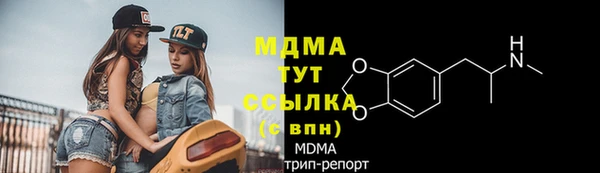 прущие грибы Новодвинск