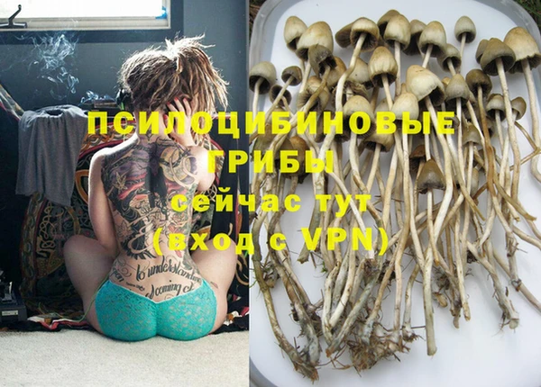 ешки Крымск