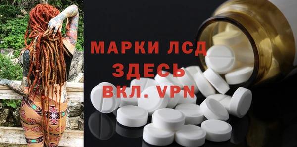 крисы Новозыбков