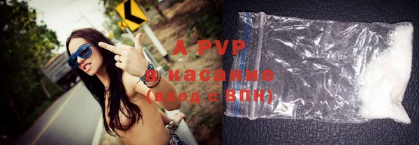 прущие грибы Новодвинск
