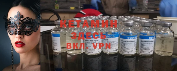 крисы Новозыбков
