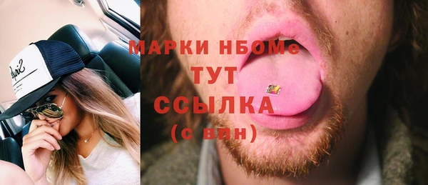 крисы Новозыбков