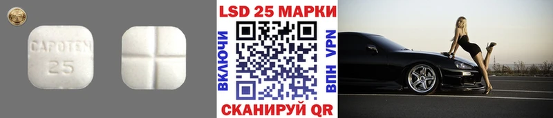 блэк спрут зеркало  что такое наркотик  Приозерск  Лсд 25 экстази кислота 