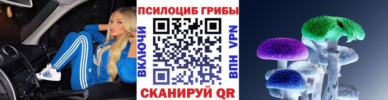цены   кракен ТОР  Псилоцибиновые грибы Psilocybine cubensis  маркетплейс наркотические препараты  Приозерск 